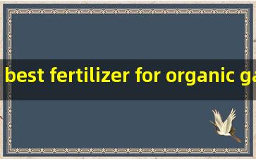 best fertilizer for organic gardening